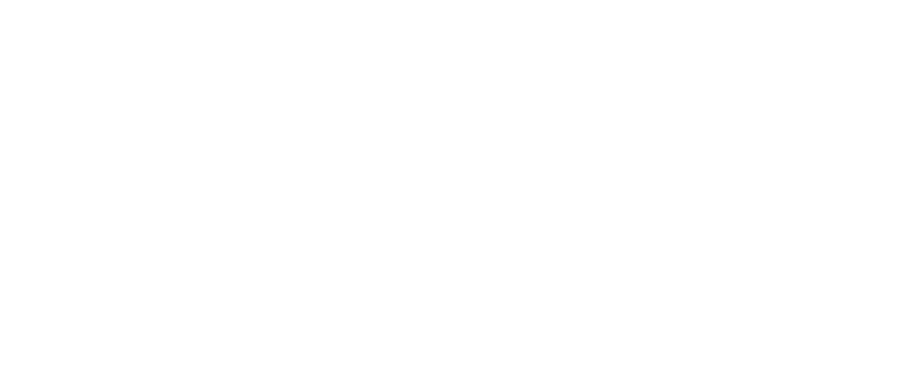 Space Grafix Logo - white
